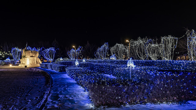 长春世界雕塑公园冰雪乐园夜景