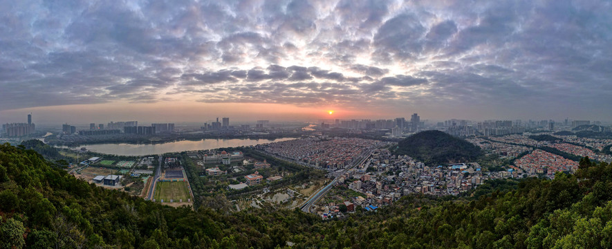 顺德新城全景