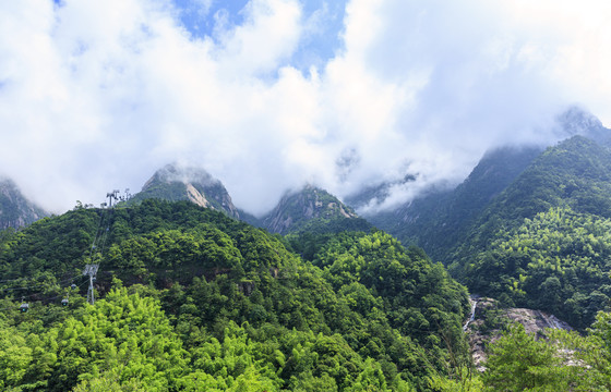 黄山云海黄山松