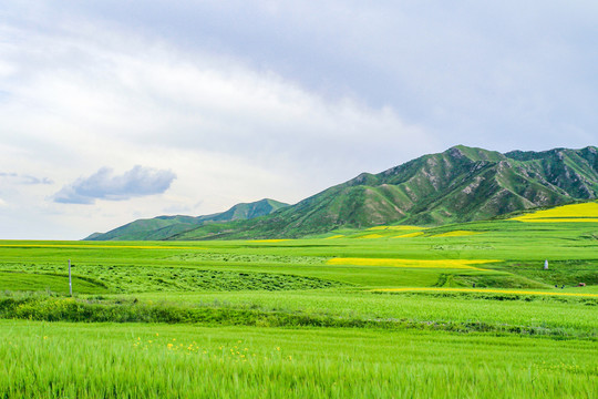 青海祁连山