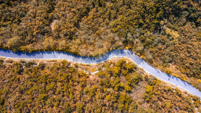 山间公路