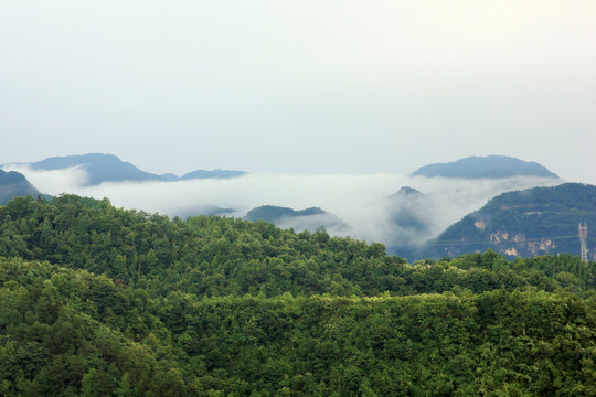 原野风光