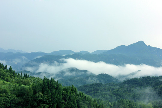 原野风景