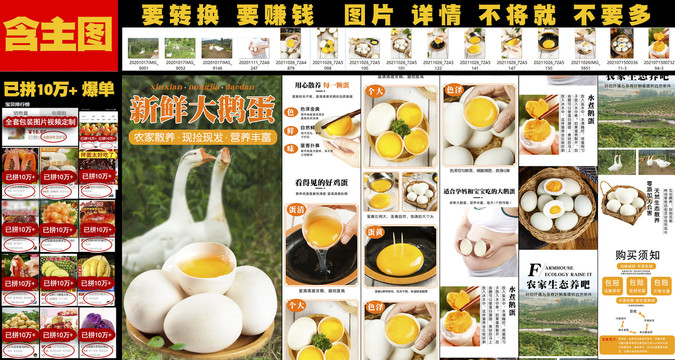 新鮮大鵝蛋詳情