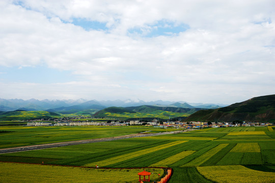 门源圆山观花台