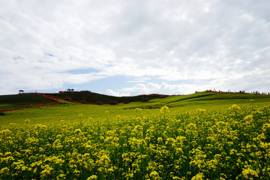 门源圆山观花台