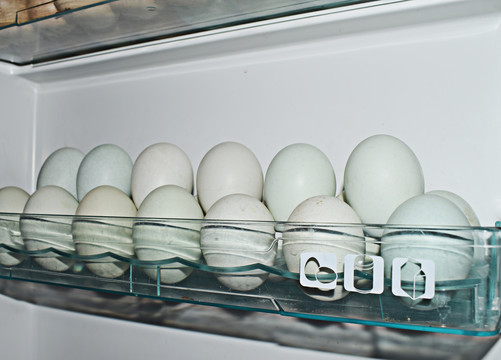鸡蛋隔层冰箱里的鸡蛋