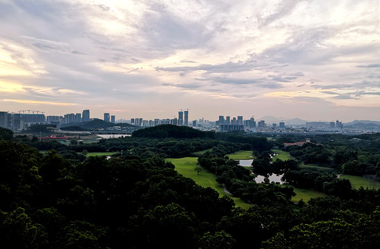 光明虹桥公园