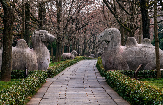 南京明孝陵景区