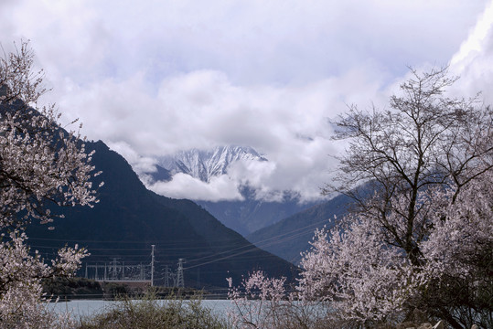 林芝风光