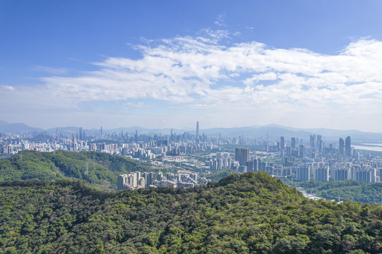 深圳全景