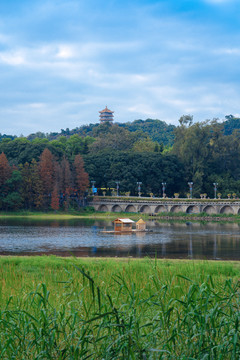 广州麓湖公园