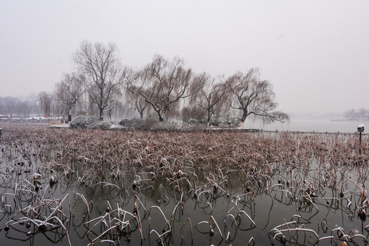 航拍雪后济南大明湖公园