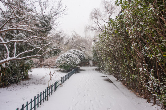 航拍雪后济南大明湖公园