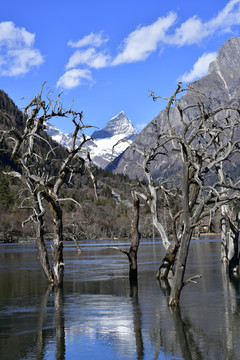 高山湖泊