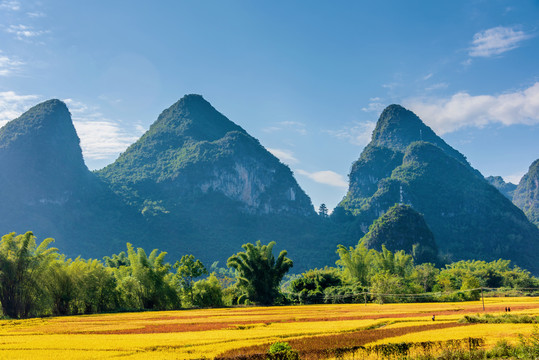 中国广西桂林阳朔遇龙河景区