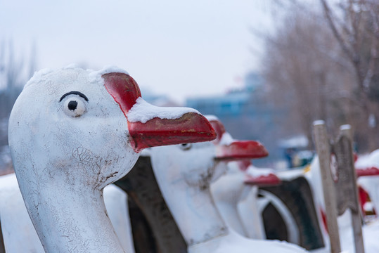 降雪过后的城市公园