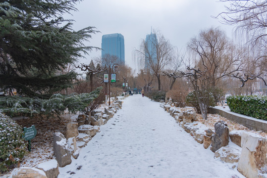 降雪过后的城市公园