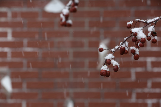 瑞雪兆丰年背景