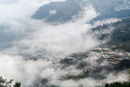 撒马坝梯田