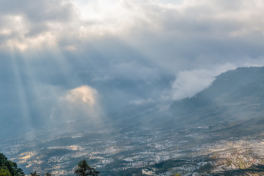 撒马坝梯田