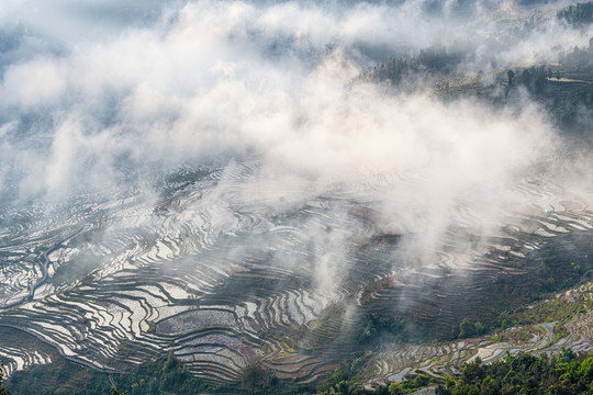 撒马坝梯田