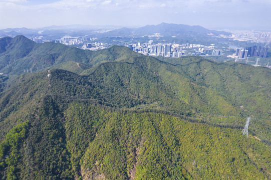 深圳塘朗山