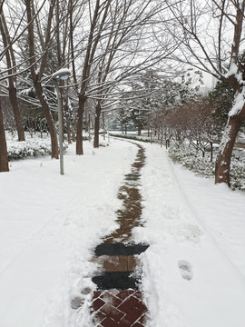 雪景