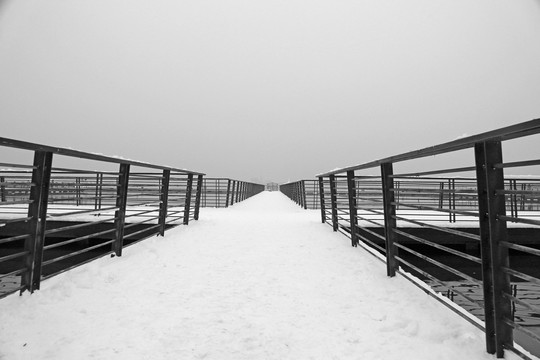 雪景