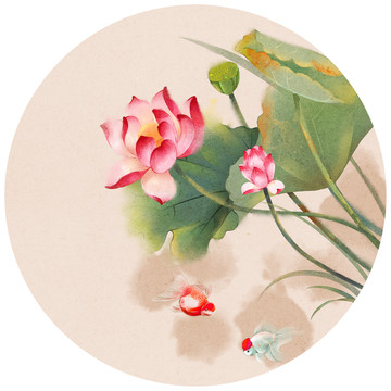 荷花插畫