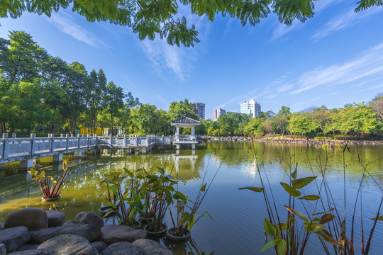 柳州马鹿山公园风光