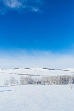 雪原树林蓝天白云