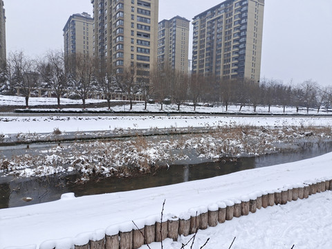 雪景