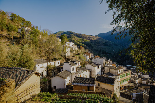 萬二村