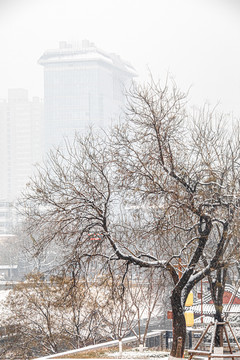 西安古城墙雪景