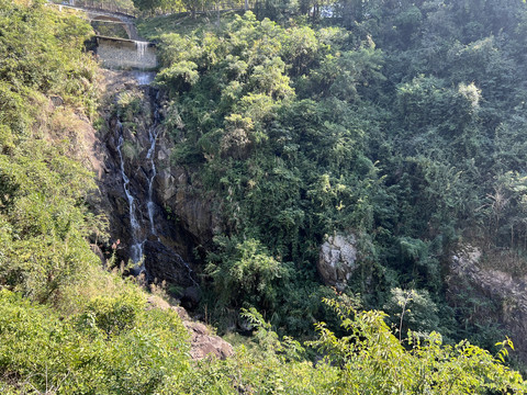 山野