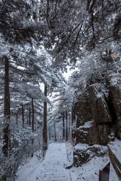 雪景