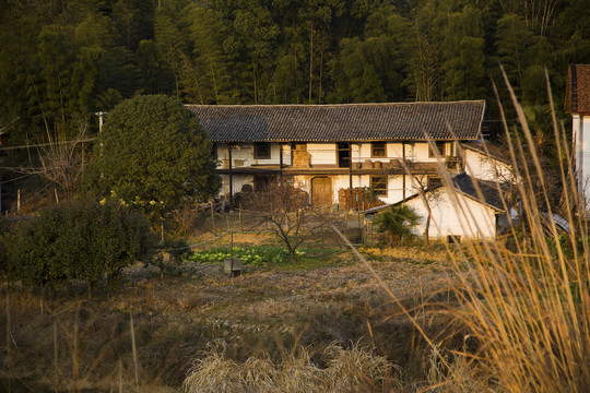 乡村风景