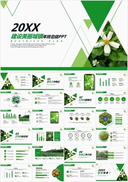 建設(shè)美麗城鎮(zhèn)年終總結(jié)PPT