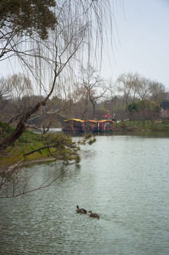 湖面冬景