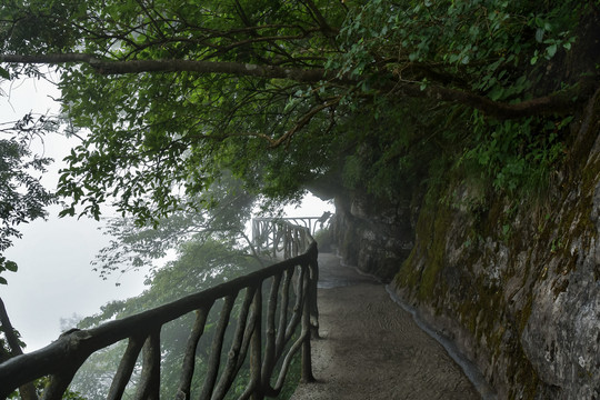 南川金佛山步行栈道