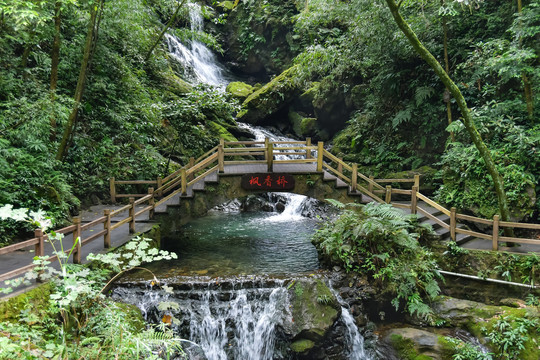 万盛黑山谷景区木桥