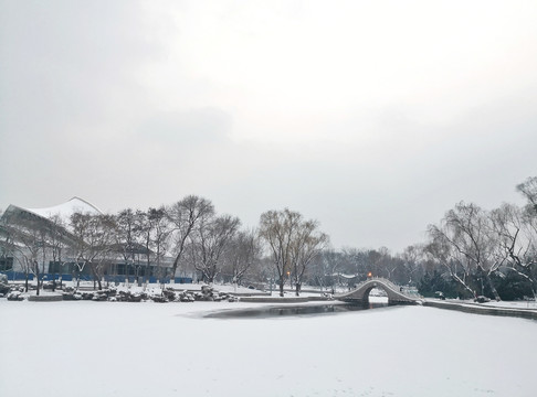 雪景