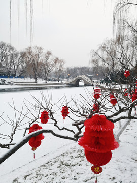 雪景