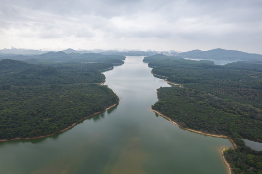 深圳铁岗水库