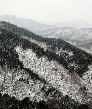 百望山雪景