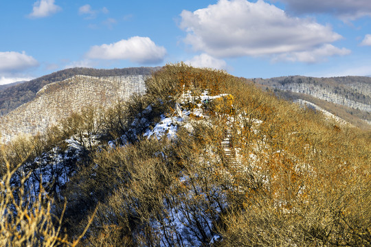 远山森林雪景