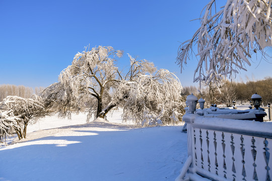 雾凇雪景