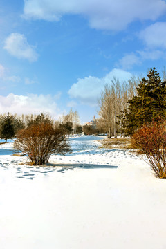 雪景