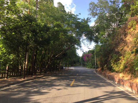 新会圭峰山道路